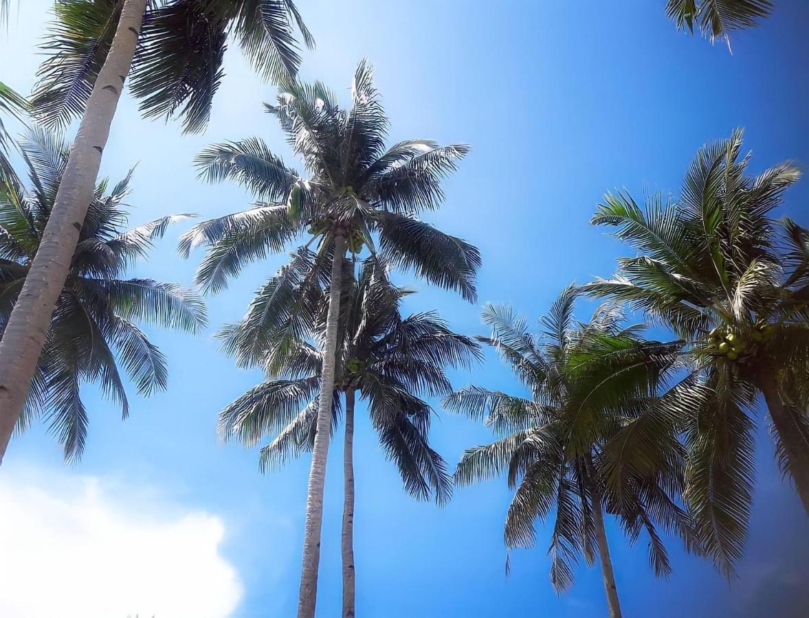 Siargao Sunflower Suites General Luna  Exterior photo