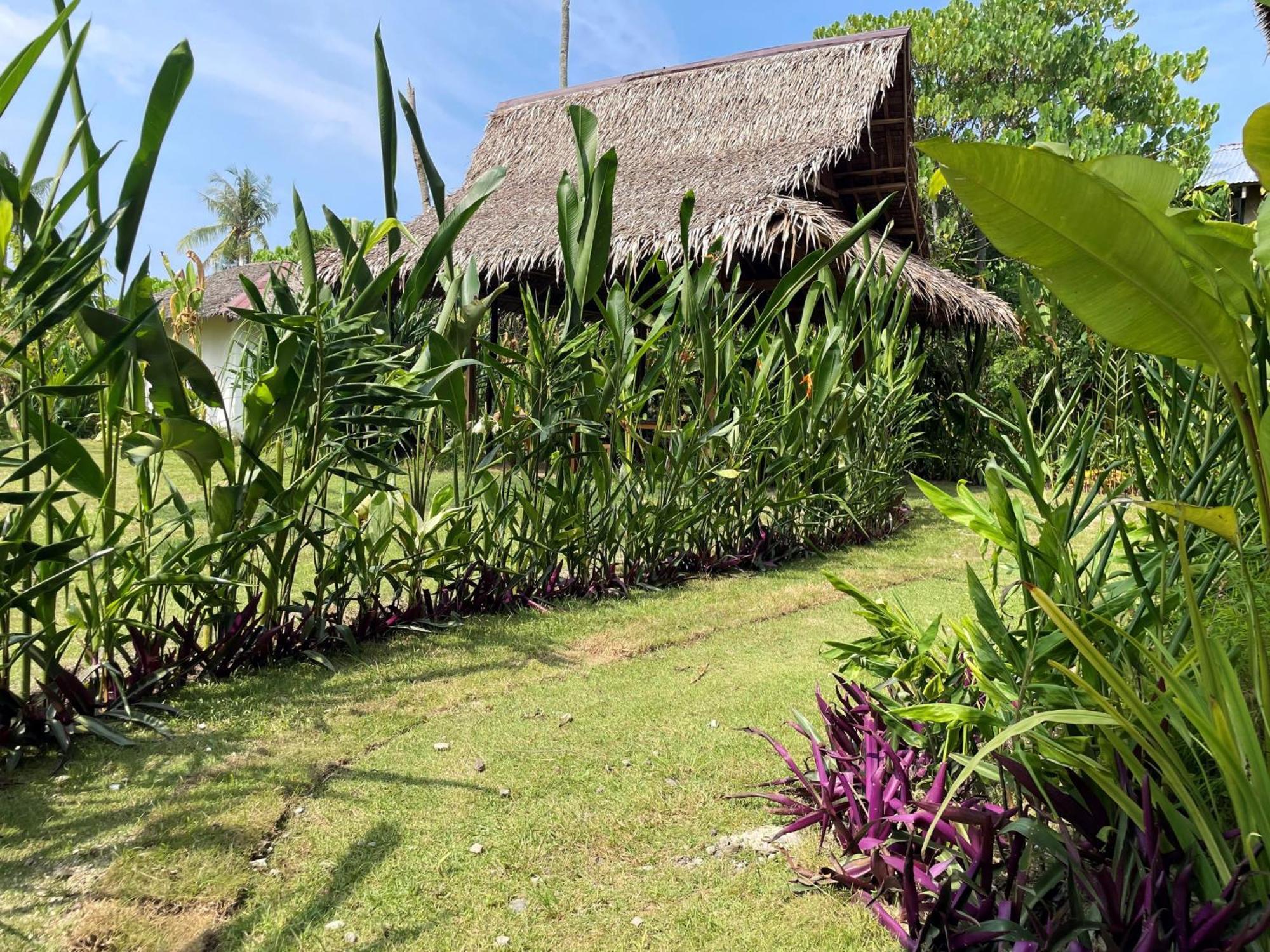Siargao Sunflower Suites General Luna  Exterior photo